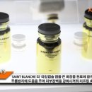 에스디네트웍스