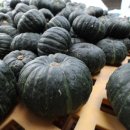 기호농장 이미지