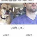 성지새말A(0848) | 베스트드라이버가 될테야..운전면허 취득!/천안대성운전학원 후기(feat.도로주행)