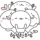 정리수납(주간) 이미지