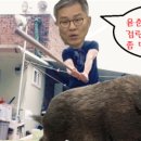 발악모터스 이미지