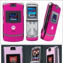 핑크(pink) 이미지
