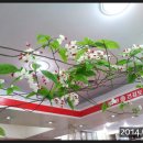 우리약국 이미지