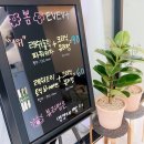 릴리뷰티 이미지