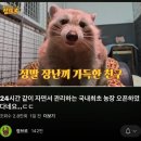 햄스터 분양 햄스터월드 | [공지] 국내 최초 복지형 오픈농장 햄스터월드 - 당진 햄스터 분양&amp;햄스터 용품 아크릴케이지 초최저가