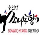 용인대 소나무향기 태권도장 이미지