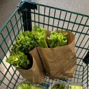 경희오늘한의원 이미지