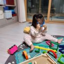 내돈내산 원목교구 정토이즈 가베 레겐보겐 후기