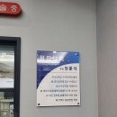 배방동물병원 티스토리