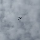 11545-06-02-23 | [임신일기] 20주 - 23주까지~