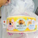 투투랩스 | 대전 풍선 맛집 투투벌룬! 가족사진 소품으로 정말 만족했던 후기