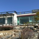 화순전남대학교병원 | 화순 맛집 추천｜주차 편한 이태리음식점 황금독수리, 명란파스타 간 미쳤다