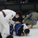 팀HJ