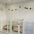 엠에스그루밍 이미지