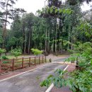 송광사 | 순천 여행 후기 9.25.(목): 송광사, 낙안읍성, 드라마촬영장, 순천갈대장어 신대점