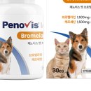 더케어벳 네이버블로그