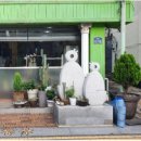 대흥크리닝 이미지