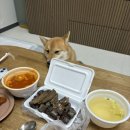 세일당구장 이미지