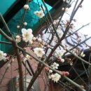 초이농협 이미지