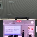 일루민
