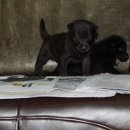 이전농장 이미지