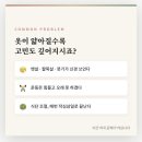 이뮨팩토리
