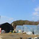 천남농장 이미지