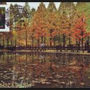 장태산휴양림 이미지