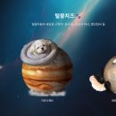 털뭉치즈 이미지