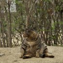 초연경로당 이미지