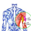 힙앤업휘트니스 이미지