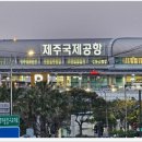 ㈜더바른렌터카 | 제주도 갈치조림 찐 맛집 바른갈치 제주공항본점