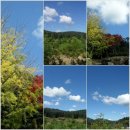 금동산야 이미지