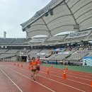 경기도생활체육대축전 사진 (고양시) 이미지