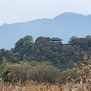 대한인사행정사 이미지