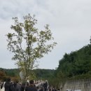 봉담장례식장 이미지