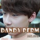 댄디라인