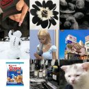 누가 나한테 사귀자고 하면 사귈 것 같애