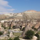 계곡사랑 이미지