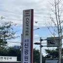푸바오애견 | 포항 북구 카페 세븐데이즈어위크 미국감성카페 애견동반공간 야외정원 내돈내산 솔직후기