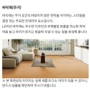 엘엑스하우시스 소리잠 장판은 친환경을 담은자연이 가르처 주는 원리와 지혜로 건강한 생활공간을 만들고저 하는 LX하우시스의 가치를 담아 이미지