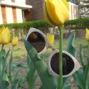 옵티션찰리대현점 이미지