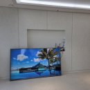 산호대로-75 이미지