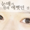 살롱비비드 salon VIVID
