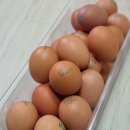 우리동네야채·과일