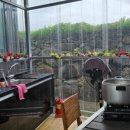 초이지아 이미지