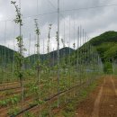 괴산농장 이미지