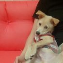 이화동물병원 이미지