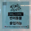 1228 | 수원 신동 호노호노 디저트 카페 맛집 신동카페거리 내돈내산 후기