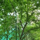 낙성대골프연습장 이미지